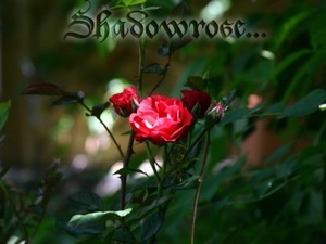 Shadowrose 2
